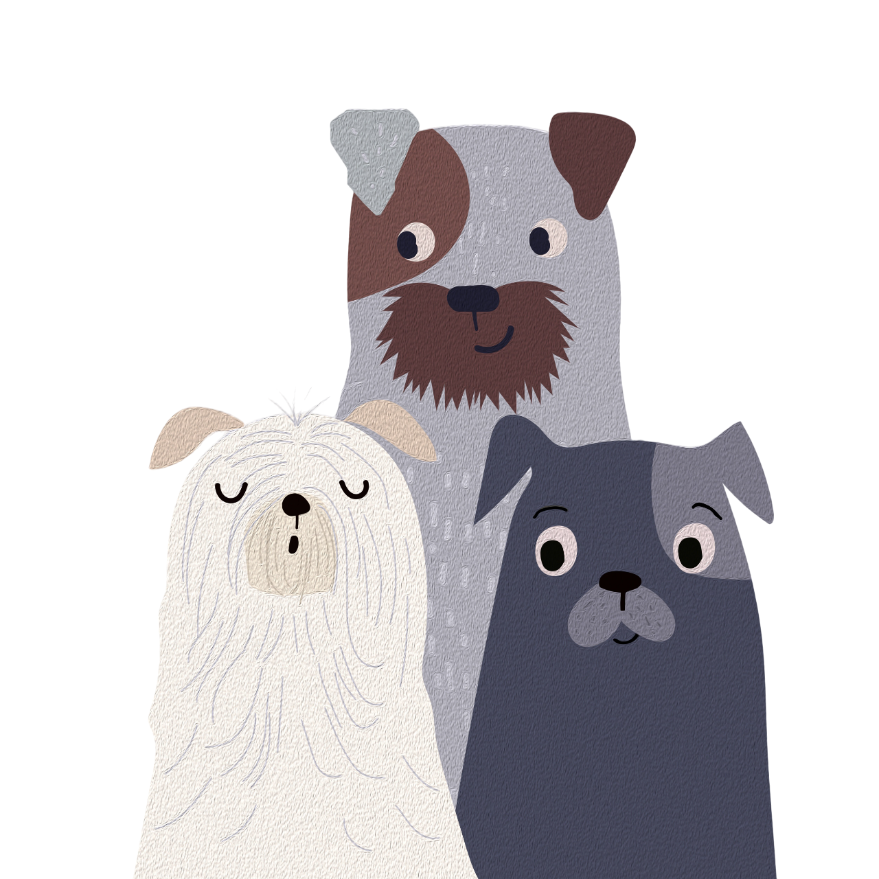 Pet Illustration